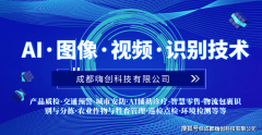AI视觉赋能千行百业：图像视频识别手艺沉构财产